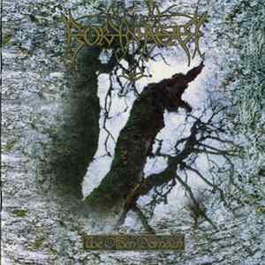 Borknagar - The Olden Domain FLAC album