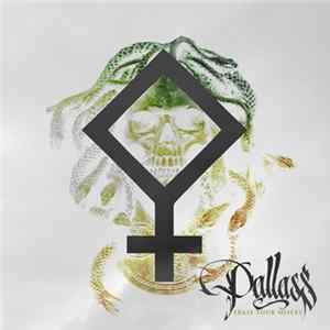 Pallass - Erase Your Misery FLAC album