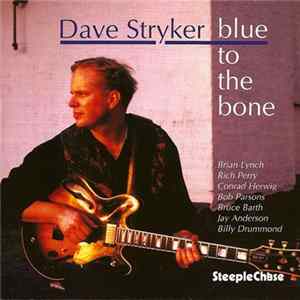 Dave Stryker - Blue To The Bone FLAC album