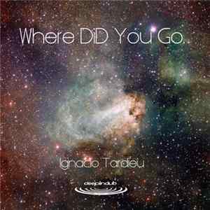 Ignacio Tardieu - Where Did You Go FLAC album