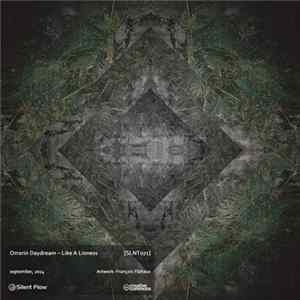 Orrorin Daydream - Like A Lioness FLAC album