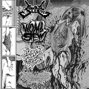 Twat Slug, Womb Stew, Post Natal Drip, Cutaneous Horns - Twat Slug, Womb Stew, Post Natal Drip, Cutaneous Horns FLAC album