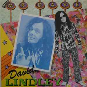 David Lindley - Mr. Dave FLAC album