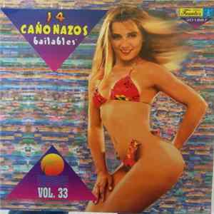 Various - 14 Cañonazos Bailables Vol. 33 FLAC album