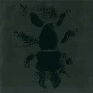 The Infant Cycle - Secret Hidden Message FLAC album