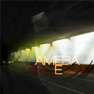Ameba - Once Said FLAC album