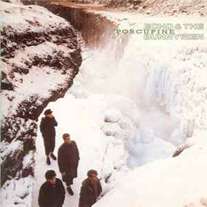 Echo & The Bunnymen - Porcupine FLAC album