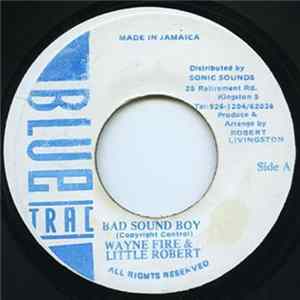Wayne Fire, Little Robert - Bad Sound Boy FLAC album
