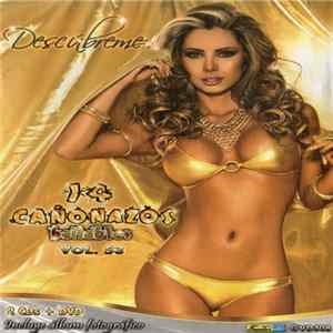 Various - 14 Cañonazos Bailables Vol. 53 FLAC album