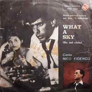 Nico Fidenco - What A Sky (Su Nel Cielo) FLAC album