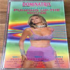 Peer / John Kelly / DJ Tee - Dominatrix Recordings Proudly Presents Pumping Up-The House FLAC album