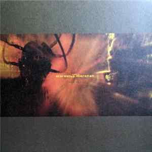 Stereotyp Meets Microfish - Who, Me? FLAC album