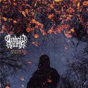 Twilight Fauna - Where Birds Sing My Name FLAC album
