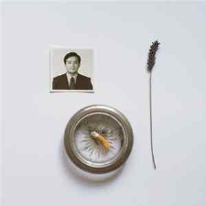 Holy Hum - Appendix C FLAC album