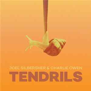 Joel Silbersher & Charlie Owen - Tendrils FLAC album