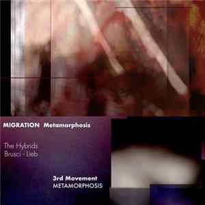 The Hybryds / Brusci - Lieb - Migration Metamorphosis - 3rd Movement: Metamorphosis FLAC album