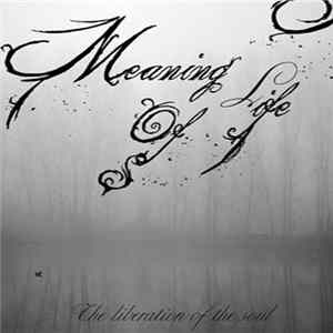 Meaning Of Life - The Liberation Of Soul FLAC album
