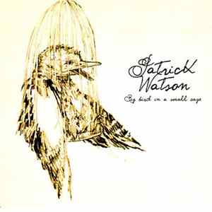 Patrick Watson - Big Bird In A Small Cage FLAC album