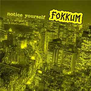Fokkum - Notice Yourself FLAC album