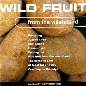 Dew Drop Inn - Wild Fruit From The Wasteland FLAC album