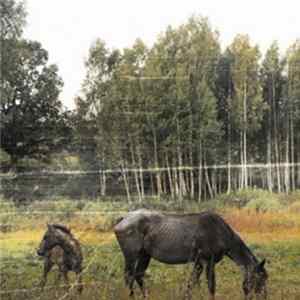 Pianos Become The Teeth - Old Pride FLAC album