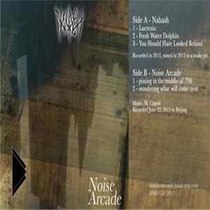 Nahash / Noise Arcade - Nahash / Noise Arcade FLAC album