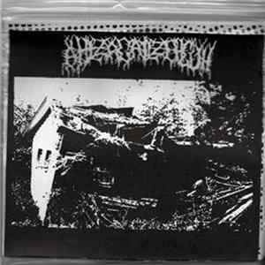 Ahlzagailzehguh - Enemy Of The Future FLAC album