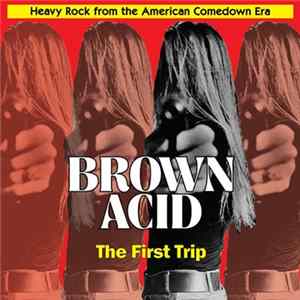 Various - Brown Acid: The First Trip (Heavy Rock From The American Comedown Era) FLAC album