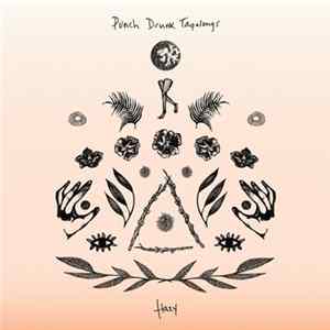 Punch Drunk Tagalongs - Hazy FLAC album