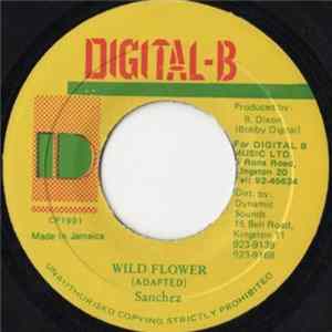 Sanchez - Wild Flower FLAC album