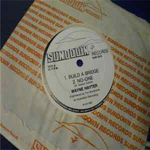Wayne Hayter - Build A Bridge FLAC album