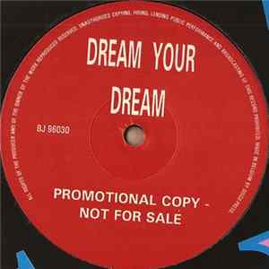 Dream Your Dream - Soushkin (DJ Yves Remix) FLAC album