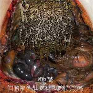 Purulent Cystocentesis - Demo 2015 : Getting rid of all bodily fluids in 2 sessions FLAC album