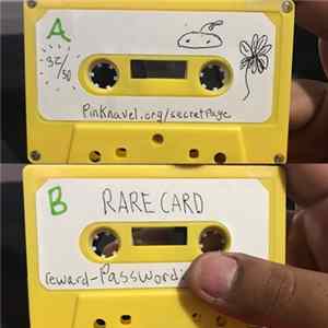 Pink Navel - gig tape FLAC album