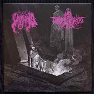 The True Werwolf / Druadan Forest - Split FLAC album