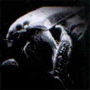 Circadian - Termite On The Surgeon's Shoulder FLAC album