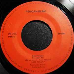 Ayse Pekcan - Guzel Oglan Yaramaz Kiz / Kalmadi Dostlar - Cicekler Acti FLAC album