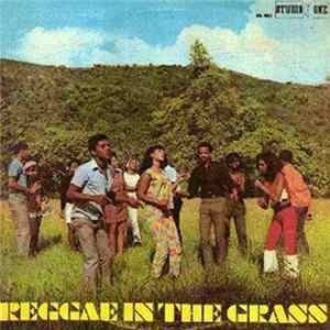 Various - Reggae In The Grass FLAC album