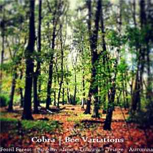 Various - Cobra | Bee Variations FLAC album