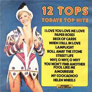 Unknown Artist - 12 Tops Todays Top Hits FLAC album
