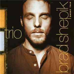 Brad Shepik Trio - Short Trip FLAC album