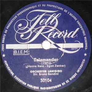 Orchester Lanigiro - Salamander / Sag Nicht Adieu FLAC album