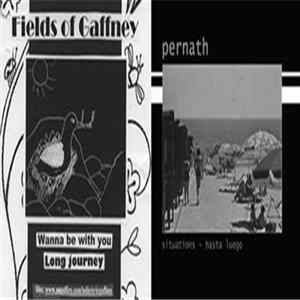 Fields Of Gaffney / Pernath - Split 7" FLAC album