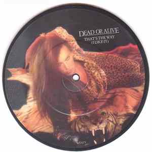 Dead Or Alive - That's The Way (I Like It) FLAC album