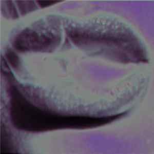 OKKVLT KɅTT - Blvck Hearts FLAC album
