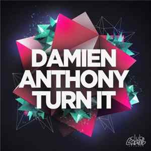 Damien Anthony - Turn It FLAC album