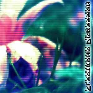 Bam Ex - Electronic Digression FLAC album