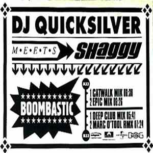 DJ Quicksilver Meets Shaggy - Boombastic FLAC album
