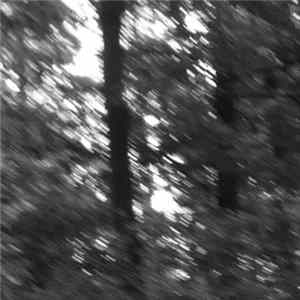 Stefanus Strom - Presence Loop FLAC album