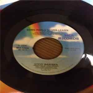 Steve Wariner - Some Fools Never Learn FLAC album